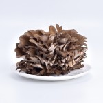 Maitake Mushroom Manufacturer - Grifron Dietary Supplement
