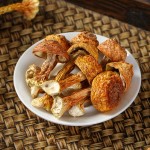 Agaricus Blazei Manufacturer - Dried Mushroom Bulk Supplier