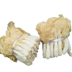 Bamboo Fungus Factory - Dried Dictyophora Nutritional