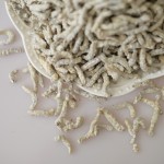 Stiff Silkworm Factory - Jiang Can Dried Herb