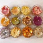 Freeze Dried Berries Factory - Natural Frozen Fruits