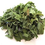 Mint Manufacturer - Factory Wholesale Supply