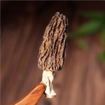 Morel Mushroom Factory - Dried Morchella Esculenta OEM