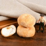 Hericium Rrinaceus Manufacturer - Dried Lion's Mane Supplier