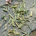 Lemongrass Manufacturer - Ning Meng Cao Dried