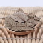 Guava Leaf Tea Manufacturer - Herbal Tea Bulk Wholesale