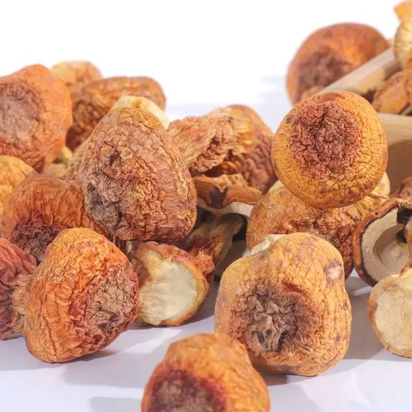Agaricus Blazei Manufacturer - Dried Mushroom Bulk Supplier