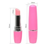 Secret Women's Lipstick Vibrator Clitoris Stimulator & G-Spot Massage Sex Toy Masturbator in Toy Box