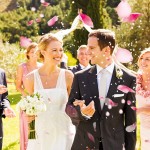 Wedding Pop Cones Supplier - Real Dried Flower Petals Bulk