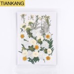 Pressed Flowers Factory - DIY Resin Craft Materials