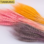 Wheat Straw Flowers Supplier - Natural Dried Multi-colored