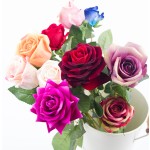 Artificial Rose Supplier - Large Dried Rose Decoration