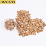 Burdock Root Supplier - Natural Dried Herbs Bulk