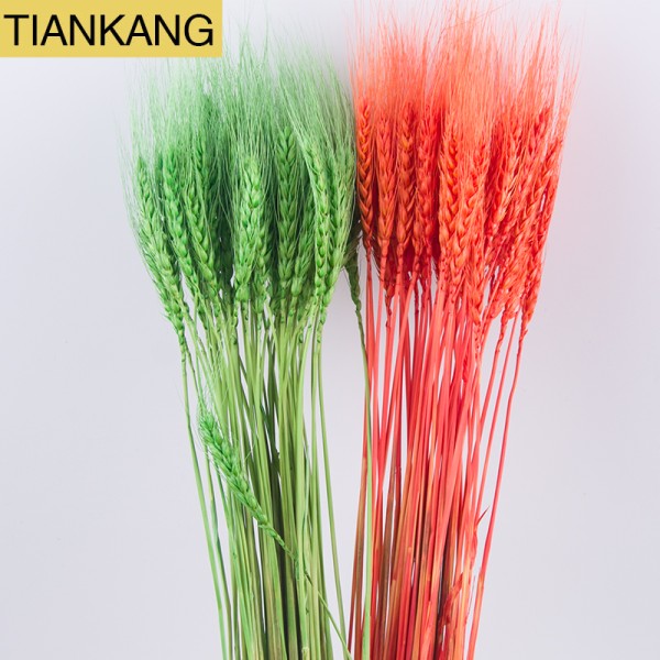 Wheat Straw Flowers Supplier - Natural Dried Multi-colored