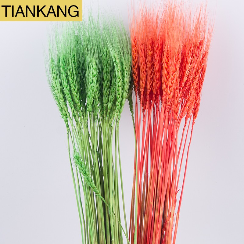 Wheat Straw Flowers Supplier - Natural Dried Multi-colored