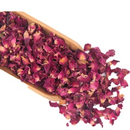 Rose Petals Confetti Factory - Burgundy Biodegradable Wedding Bulk