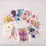 Natural Pressed Flowers Manufacturer - DIY Phone Case Specimens