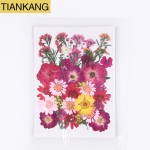 Pressed Flowers Factory - DIY Resin Craft Materials