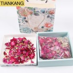 Wedding Pop Cones Supplier - Real Dried Flower Petals Bulk