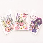 Natural Pressed Flowers Manufacturer - DIY Phone Case Specimens