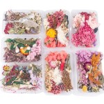Dried Flower DIY Factory - Craft Mixed Decoration Material