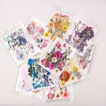 Natural Pressed Flowers Manufacturer - DIY Phone Case Specimens