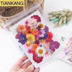 Pressed Flowers Factory - DIY Resin Craft Materials
