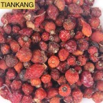 Rosehip Tea Manufacturer - Organic Dried Rose Hip Bulk