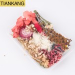 Dried Flower DIY Factory - Craft Mixed Decoration Material