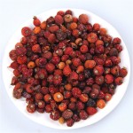 Rosehip Tea Manufacturer - Organic Dried Rose Hip Bulk