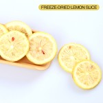Freeze Dried Lemon Factory - Natural Honey Slices Healthy