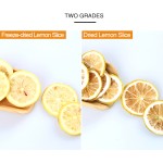 Freeze Dried Lemon Factory - Natural Honey Slices Healthy