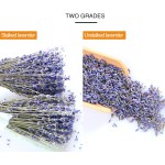 Dried Lavender Bouquet Manufacturer - Natural Decorative Flowers