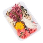 Dried Flower DIY Factory - Craft Mixed Decoration Material