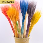 Wheat Straw Flowers Supplier - Natural Dried Multi-colored