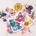Natural Pressed Flowers Manufacturer - DIY Phone Case Specimens