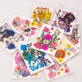 Natural Pressed Flowers Manufacturer - DIY Phone Case Specimens