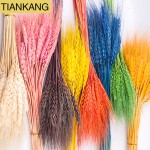 Wheat Straw Flowers Supplier - Natural Dried Multi-colored