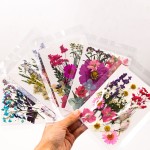 Natural Pressed Flowers Manufacturer - DIY Phone Case Specimens