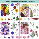 Christmas Decoration Supplier - Pressed Flower Embossed