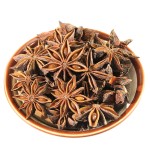 Star Anise Manufacturer - Wholesale Octagonal Spice Bulk