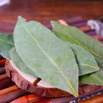 Bay Leaf Supplier - Air-Dried Raw Processing Bulk