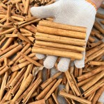 Cinnamon Stick Factory - Cassia Style Natural Flavor