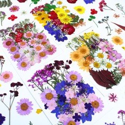 Christmas Decoration Supplier - Pressed Flower Embossed