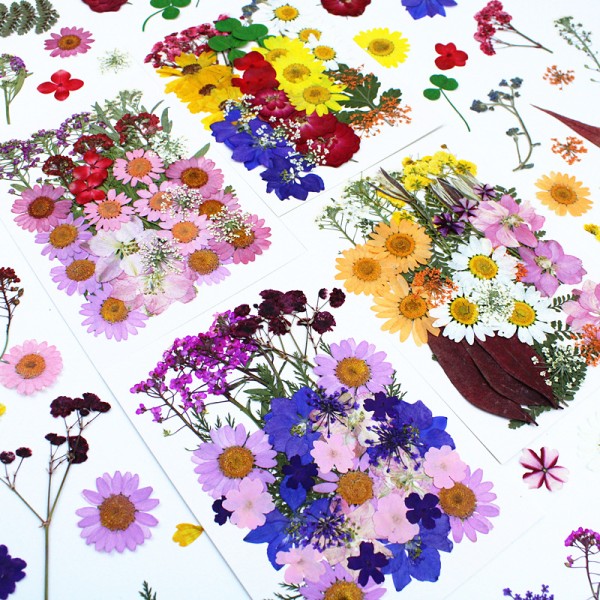 Christmas Decoration Supplier - Pressed Flower Embossed