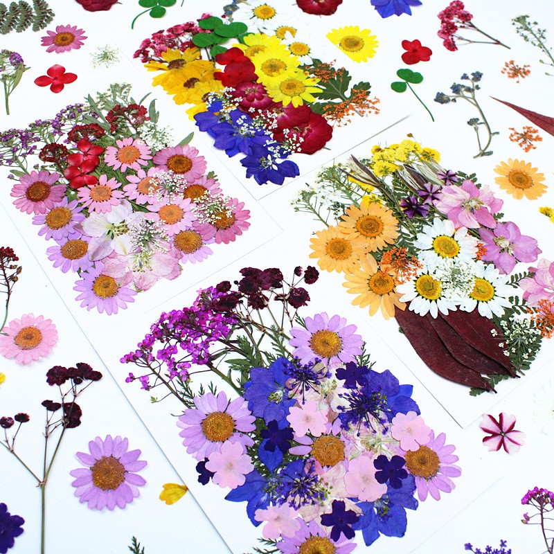 Christmas Decoration Supplier - Pressed Flower Embossed