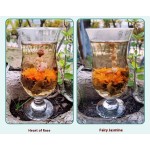 Jasmine Green Tea Bags Supplier - Craft Blooming Tea