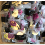 Hybrid Fruits Tea Factory - Beauty Detox Teabag