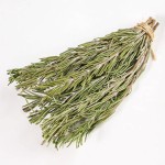 Rosemary Branches Factory - Edible Grade Steak Spice