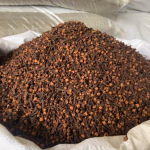 Dry Clove Manufacturer - Wholesale Price Fragrant Spice